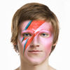 Bowiefy  Perfect Glam Rock Booth Face Makeup