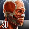 Anatomy In Motion - Complete - Muscle System Flashcards for iPhone and iPod Touch App Icon