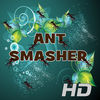 Ant Smasher Classic Battlefield App Icon