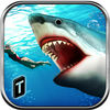 Angry Shark 2016 App Icon