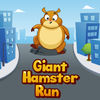 Giant Hamster Run App Icon