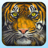 Lets Hunt Tiger Pro - Jungle Hunting Simulator