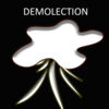 DemoLection App Icon