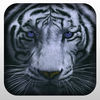 2016 Wild Hunting Simulation 3D Adventure Pro App Icon