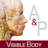 Anatomy and Physiology An Introduction to Body Structures and Functions