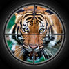 Wild King Lion Extreme Jungle Hunting Pro App Icon