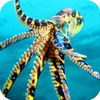 Under Water Octopus Hunt Pro - Sea Creature Hunt Simulator