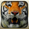 Epic Animal Hunter 3D Simulation 2016 Pro  Wild Jungle App Icon