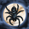 Spider Rite of the Shrouded Moon App Icon