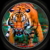 African Wild Tiger Hunt 2016 Pro - Safari Hunter App Icon