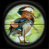Angry Duck 3d Pro Shooting Hunter App Icon