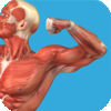 Student Muscle and Bone Anatomy 3D Visual Dictionary with Quiz Master App Icon