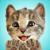 Little Kitten - My Favorite Cat App Icon