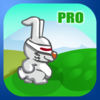 Bunny Scape Pro App Icon