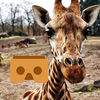 360 VR Giraffe - Nature VR App for Kids