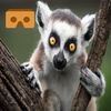 360 VR Lemur Exhibit App Icon