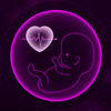 Baby Heartbeat Monitor Fetal Heart Beat Doppler