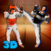 Taekwondo Sports Fighting Cup 3D App Icon