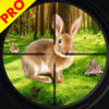 Wild Rabbit Hunting Sniper Simulator App Icon