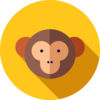 Senin Hikayen - Hayvanat Bahçesi Macerası TamSürüm App Icon