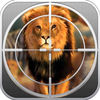 Wild Loin Hunting Challenge  2017 App Icon