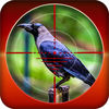Forest Crow Hunting App Icon