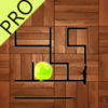 Real Maze Ball Puzzle Challenge App Icon