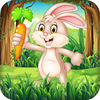 Bunny Jungle Run Adventure App Icon