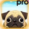 Pug Land Pro - #1 Dog Adventure Game App Icon