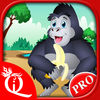Zoo Station PRO App Icon