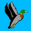 Duck Season AR App Icon