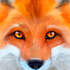 Ultimate Fox Simulator App Icon