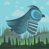 Harpy The Owl App Icon