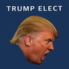 Trump Elect App Icon