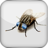 JumiFly - A fake fly turns into an addictive fun prank to play on the PC desktop / background