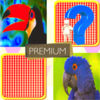 Match Card Pair  Premium App Icon