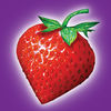 Strawberrynet - Beauty Shopping App Icon