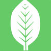 Plant Identifier - WildPlantID App Icon