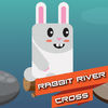 Rabbit River Cross App Icon