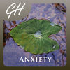 Mindfulness Meditation for Releasing Anxiety App Icon