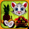 Sweet Fruits Collector App Icon
