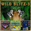 Wild Blitz 3 - Puzzle Games App Icon