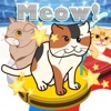 Meow Meow Curling App Icon