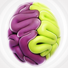 Are you left-brained or right-brained? App Icon