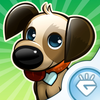 Tap Pet Hotel App Icon