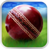 Cricket WorldCup Fever Deluxe App Icon