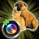 Pet Camera App Icon