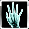 X-Ray Scan  plus App Icon