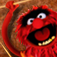 The Muppets Animal Drummer App Icon
