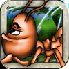 Attack of the Killer Ant App Icon